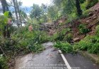 Longsor Tutup Akses Jalan Simpang Muko-Muko – Tanjung Sani, Satu Rumah Warga Tertimpa